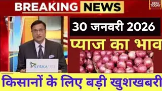 30 January 2026. Onion prices rise in Indore Mandi, Onion prices today, today's onion prices, oni...