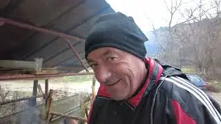 На прасе в село Полена