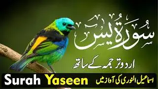 Surah Yasin with Urdu Translation Full | Beautiful Quranic Recitation with Urdu & Hindi Tarjama Ep 9