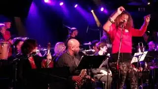The Go - Go Symphony w/ Stinky Dink - One Track Mind