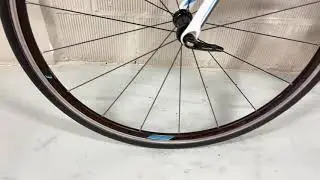 Focus Cayo carbon