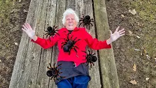 Grandma Vs. Worlds Biggest Spiders | Ross Smith