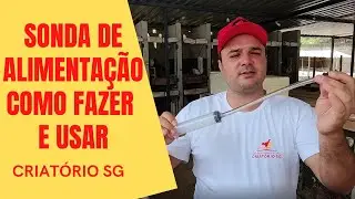 SONDA DE ALIMENTAÇÃO PARA GALINHAS, COMO FAZER E USAR