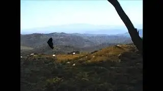 The Family Cinefilm Project Vumba National Park 1972 Reflecta Normal 8 Super 8 Cine Film Scanner