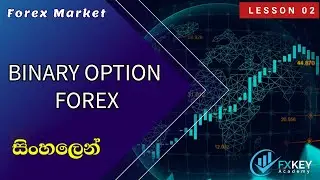 What is forex trading sinhala | What is binary option sinhala | forex and binary option sinhala.