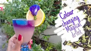 Colour changing Magical drink