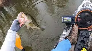 First Topwater Bass of 2021! Oklahoma Kayak Fishing.