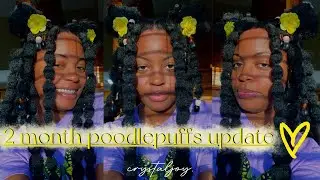 so i've had my poodlepuffs in for 2 months...