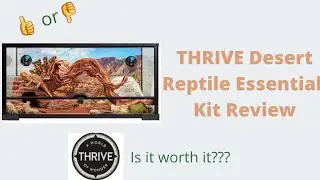 Herpmas Day 7|Thrive Desert Essentials Kit Review