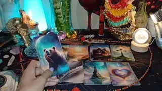 Rival sabe a ilusão desse Relacionamento, enfrentando os Piores Momentos!! *Armadilha🐍