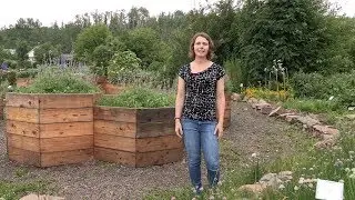 Cultivating Herbs – In the Alaska Garden with Heidi Rader