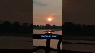 Brahmini river, #wetland #river #brahmini #nature #biodiversity #water #birds