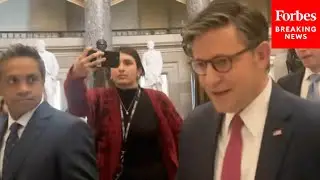 Mike Johnson Asked Point Blank About President Trump's 'S---hole Countries' Remark