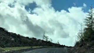 Donkey Creek Rd/Forest Rd 22 pt 5