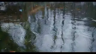 1 Hour Long Raining Sound for Studying & Relaxing & Sleeping