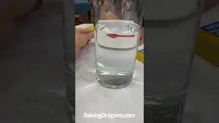 Reverse Arrow Science Experiment - Easy Science Experiments For Kids