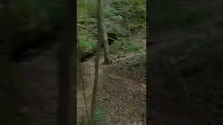Almost Falling Down a Hill While Backpacking #camping #hikingadventures #backpacking #camping #fail