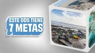 ODS N° 14 Vida submarina