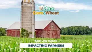The Hidden Cost Behind Rising Food Prices