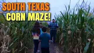 South Texas Corn Maze 2019 (AKA South Texas Maize - Graff 7A Ranch) | ThisShoresLife