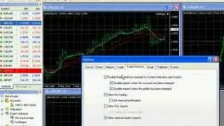 Trading Profit Booster - boost your profits to extreme