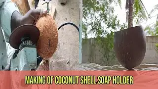Coconut Shell Bowl | Soap Holder | Craftsman Artifacts