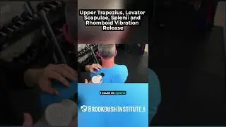 🔴 Upper Trapezius, Levator Scapulae, Splenii and Rhomboid Vibration Release