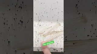 Tar and bug removing #detailingcars #autodetailing #car #detailing #detailingworld #tarremover