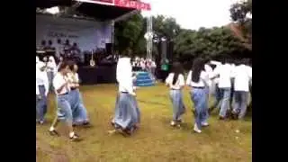 harlem shake vs flash mob