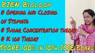 Mechanism of stomatal opening and closing || Sugar Concentration and K+ ion theory || 10th ICSE 2020