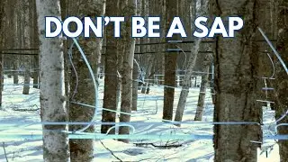 Syrup Business in Talkeetna Uses Tubing Method for Sap Collection