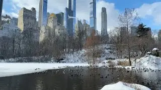 Snow blankets New York after historic winter storm | AFP
