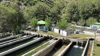 Most Expensive Trout Fish Farming Setup