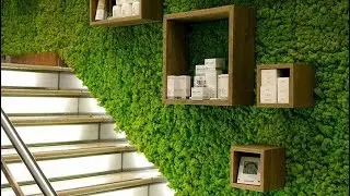 Modern Grass Wall Design | Grass Wall Interior | Room Wall Decorating