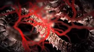 Necrosy - Album Teaser 2015