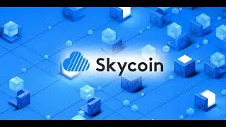 Skycoin: The Currency of the Future