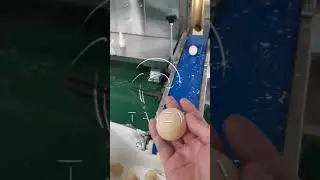 Industrial Encrusting Machine | Kubba Making Machine