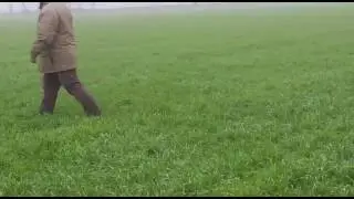 I retrievers se lago gerundo