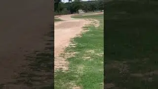 Does the Point Venture TX POA want to turn the green spaces into brown spaces with crushed granite?