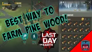 How to Farm Pine Wood easily in LDOE | Last Day on Earth | Nov 2023