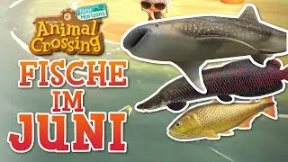 Alle NEUEN FISCHE im *Juni*! RIESENFISCHE und HAIE fangen! | Animal Crossing New Horizons🌟