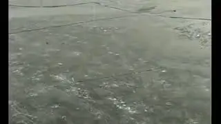 Все на рыбалку.