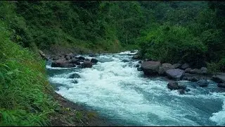 Panoramic Big River Soundscape for Deep Sleep | sleep - relax - enjoy life - ASMR