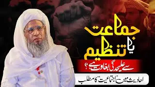 Kya kisi jamaat ya tanzeem se alag hona baghawat hai? | Mufti Abdul Raheem