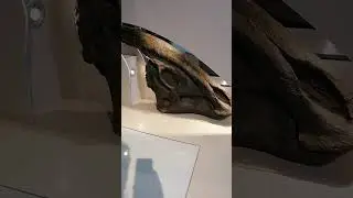 What DINOSAURS really SOUNDED like - Parasaurolophus
