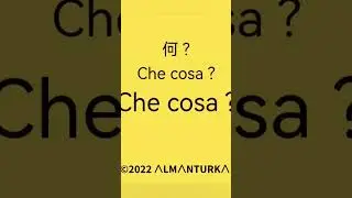 イタリアの  学ぶために  初心者  基本👉ALMANTURKA