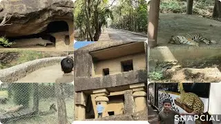 Sanjay gandhi National Park Mumbai 👍🏞||National park#nationalpark#wildlife