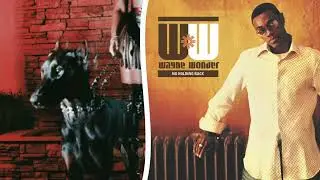MUTT vs No Letting Go (Wayne Wonder Mashup / Remix) | DJ Line |