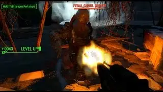 Fallout4 - Zombies City Forest Grove Marsh