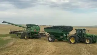 Harvest Run 2023